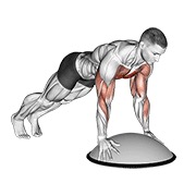 Flexión on bosu ball
