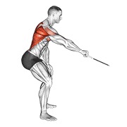 Palm rotational remo en polea