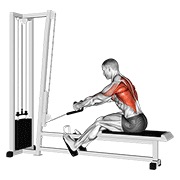 Rope elevated sentado remo en polea