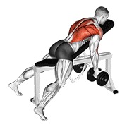 Tumbado posterior delt remo con mancuerna