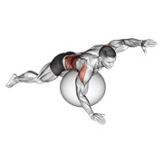 Exercise ball alternating arm ups