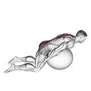 Exercise ball back extensión with arms extended