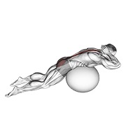 Exercise ball back extensión with hands behind head