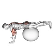Exercise ball prone leg elevación