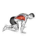 Kneeling lat stretch