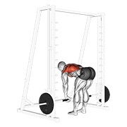 Bent over remo multipower