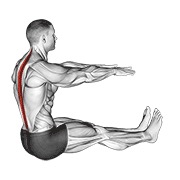 Spine stretch