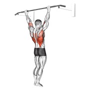 Wide grip posterior dominada