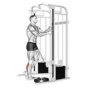 De pie one leg elevación de gemelos en polea