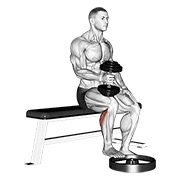 Sentado one leg elevación de gemelos - hammer grip con mancuerna