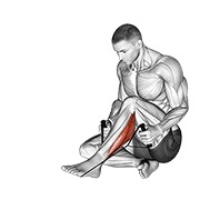 Peroneals stretch