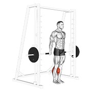 Inverso calf raises multipower