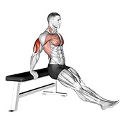 Bench fondo on floor