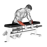 Palms down wrist curl over a bench con barra