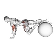 Exercise ball one leg prone lower body rotation