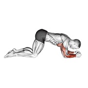 Modified flexión to lower arms