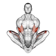 Butterfly yoga pose