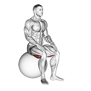 Exercise ball sentado hamstring stretch