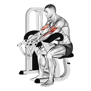 De palanca preacher curl v. 2
