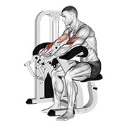De palanca inverso grip preacher curl