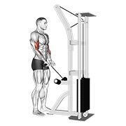 Close grip curl en polea