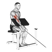 One arm preacher curl en polea