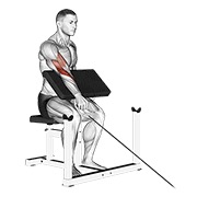 One arm inverso preacher curl en polea