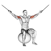 Sobre la cabeza curl on exercise ball en polea