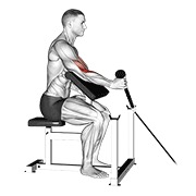 Rope one arm hammer preacher curl en polea