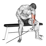 Sentado one arm concentration curl en polea