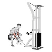 Squatting curl en polea