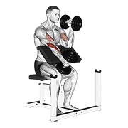 Alternate hammer preacher curl con mancuerna