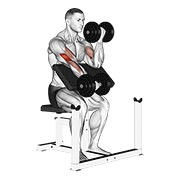 Alternate preacher curl con mancuerna