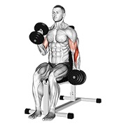 Alternate sentado hammer curl con mancuerna