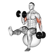 Alternating curl de bíceps with leg raised on exercise ball con mancuerna