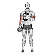 Cross body hammer curl v. 2 con mancuerna