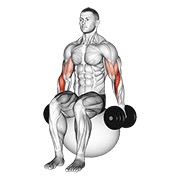 Hammer curl on exercise ball con mancuerna