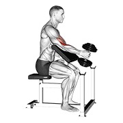 One arm hammer preacher curl con mancuerna