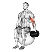 One arm sentado curl de bíceps on exercise ball con mancuerna