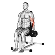 One arm sentado hammer curl con mancuerna