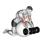 Preacher curl over exercise ball con mancuerna