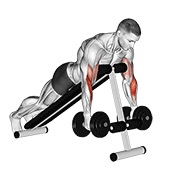 Prone inclinado hammer curl con mancuerna