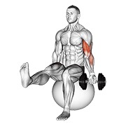 Sentado one arm curl de bíceps on exercise ball with leg raised con mancuerna
