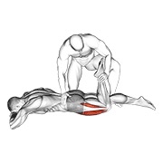 Asistido prone tumbado quads stretch