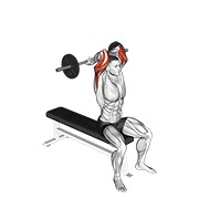 Sentado close grip behind neck triceps extensión con barra