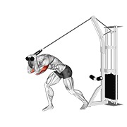 Rope high pulley sobre la cabeza extensión de tríceps en polea
