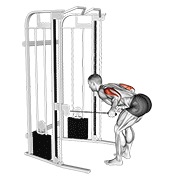 Two arm tricep kickback en polea