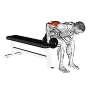 Sentado bent over triceps extensión con mancuerna