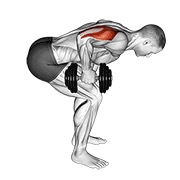 De pie bent over one arm triceps extensión con mancuerna