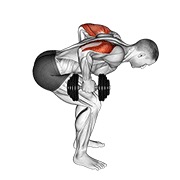 De pie bent over two arm triceps extensión con mancuerna
